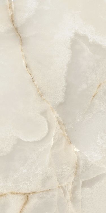 Reves Perle Matte 12 x 24